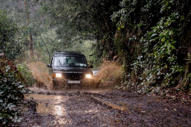 a train traveling down train tracks near a forest