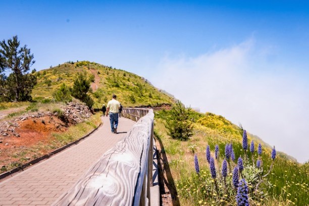 a person walking down a dirt road
