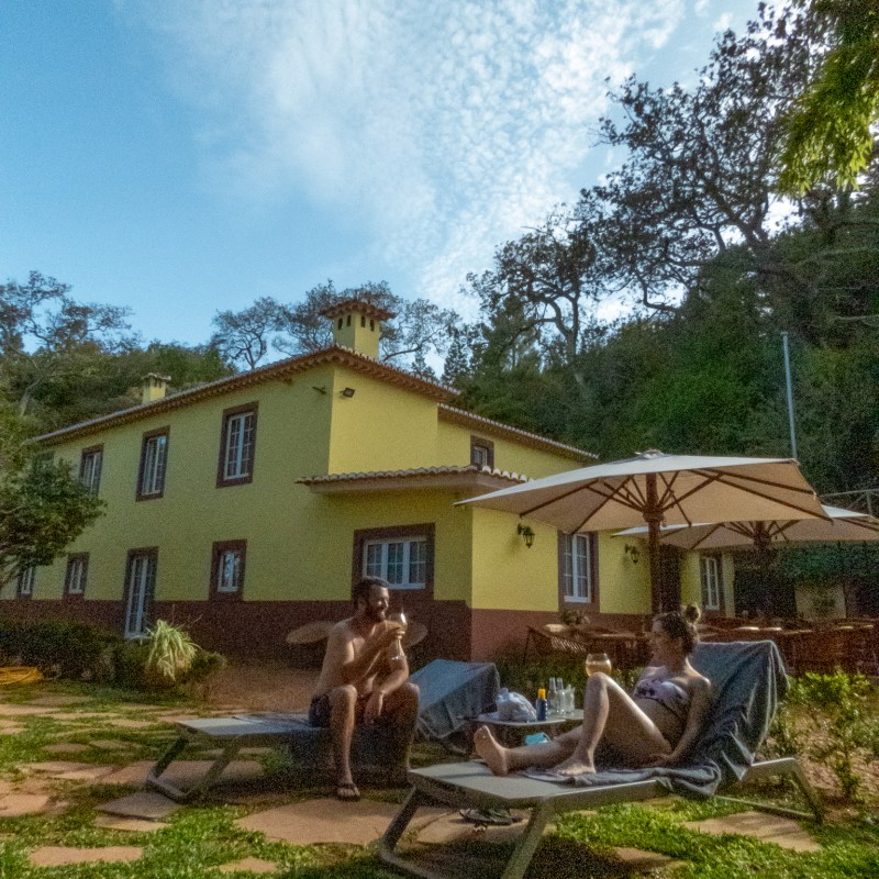 a giraffe standing in front of a house