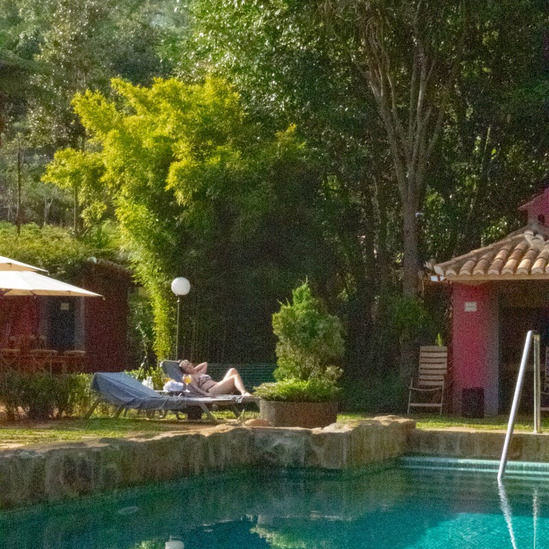 a garden with water in the background