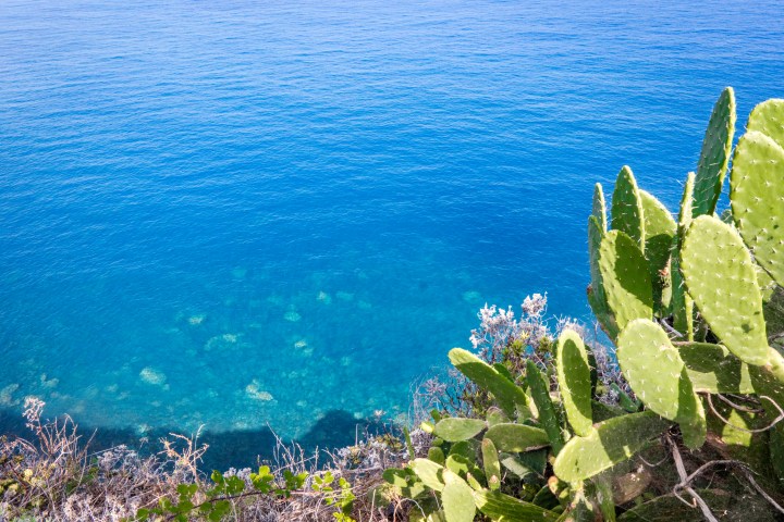 Clear blue Atlantic Ocean along Madeira’s coast